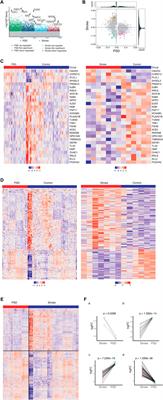 Intestinal flora induces depression by mediating the dysregulation of cerebral cortex gene expression and regulating the metabolism of stroke patients